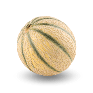 Melon